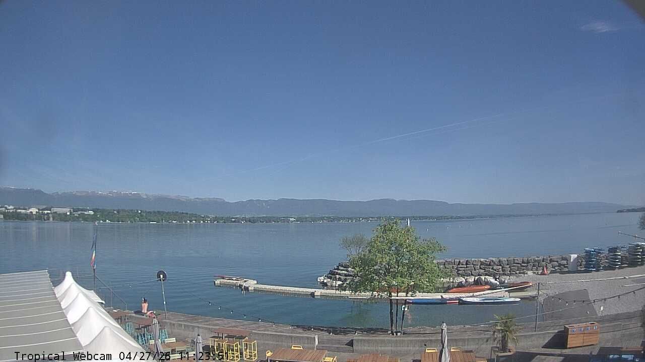 Cologny: Tropical Corner