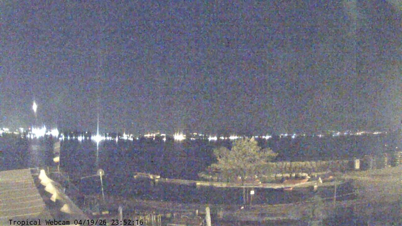 Cologny: Tropical Corner