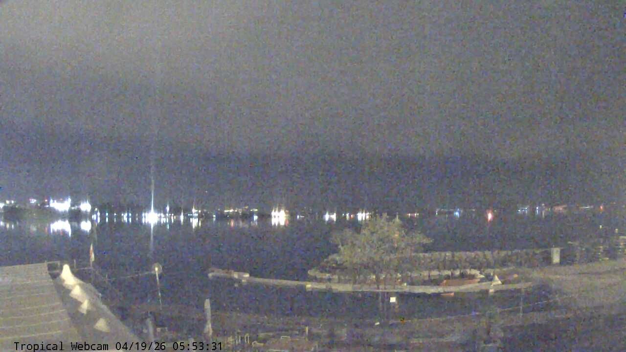 Cologny: Tropical Corner