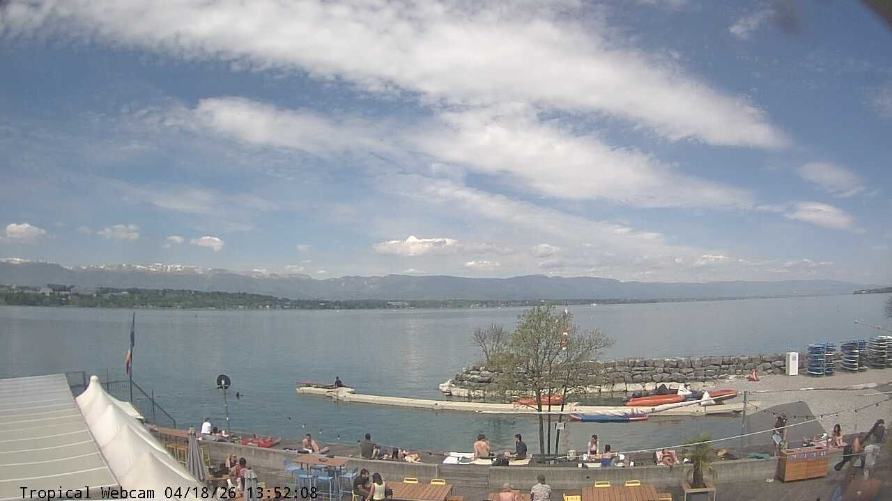 Cologny: Tropical Corner