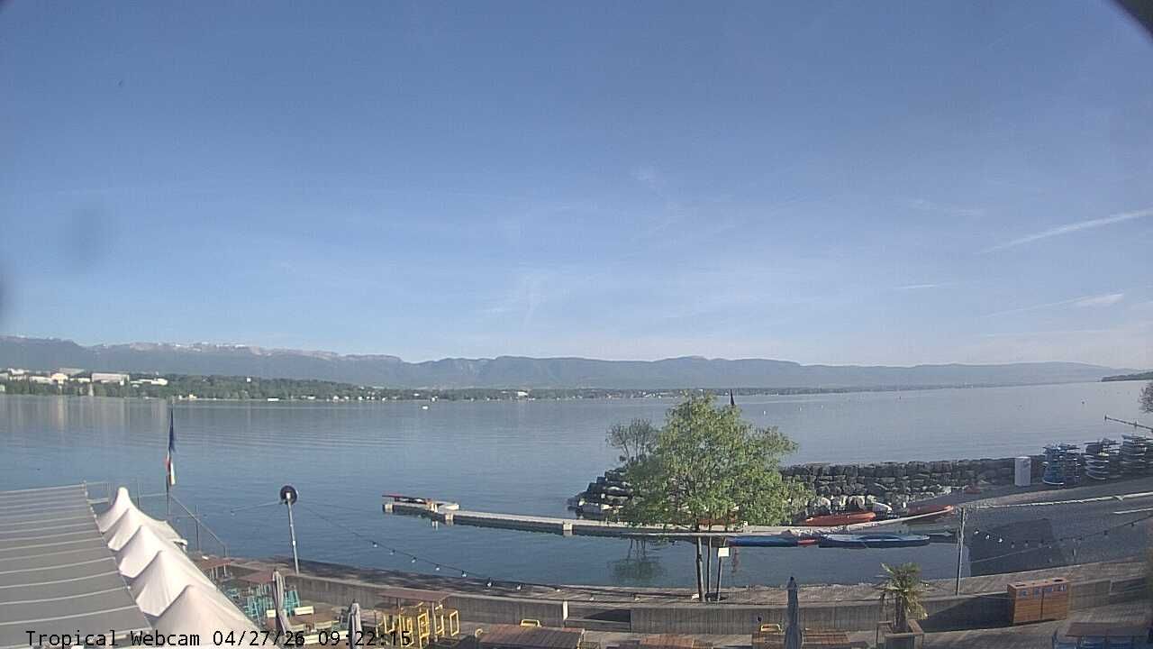 Cologny: Tropical Corner