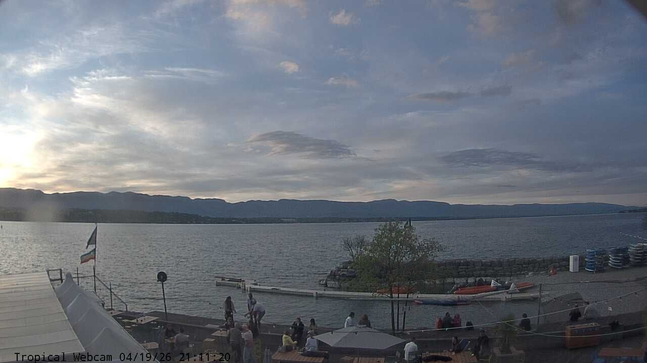 Cologny: Tropical Corner