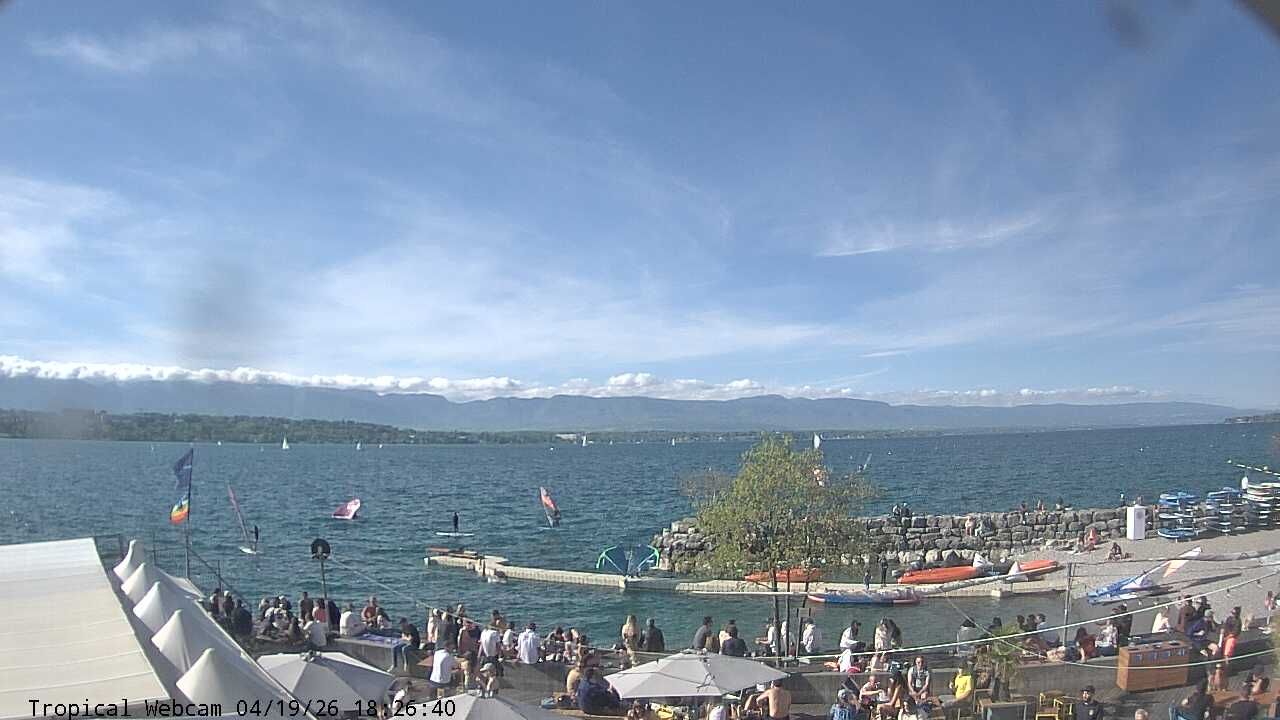 Cologny: Tropical Corner