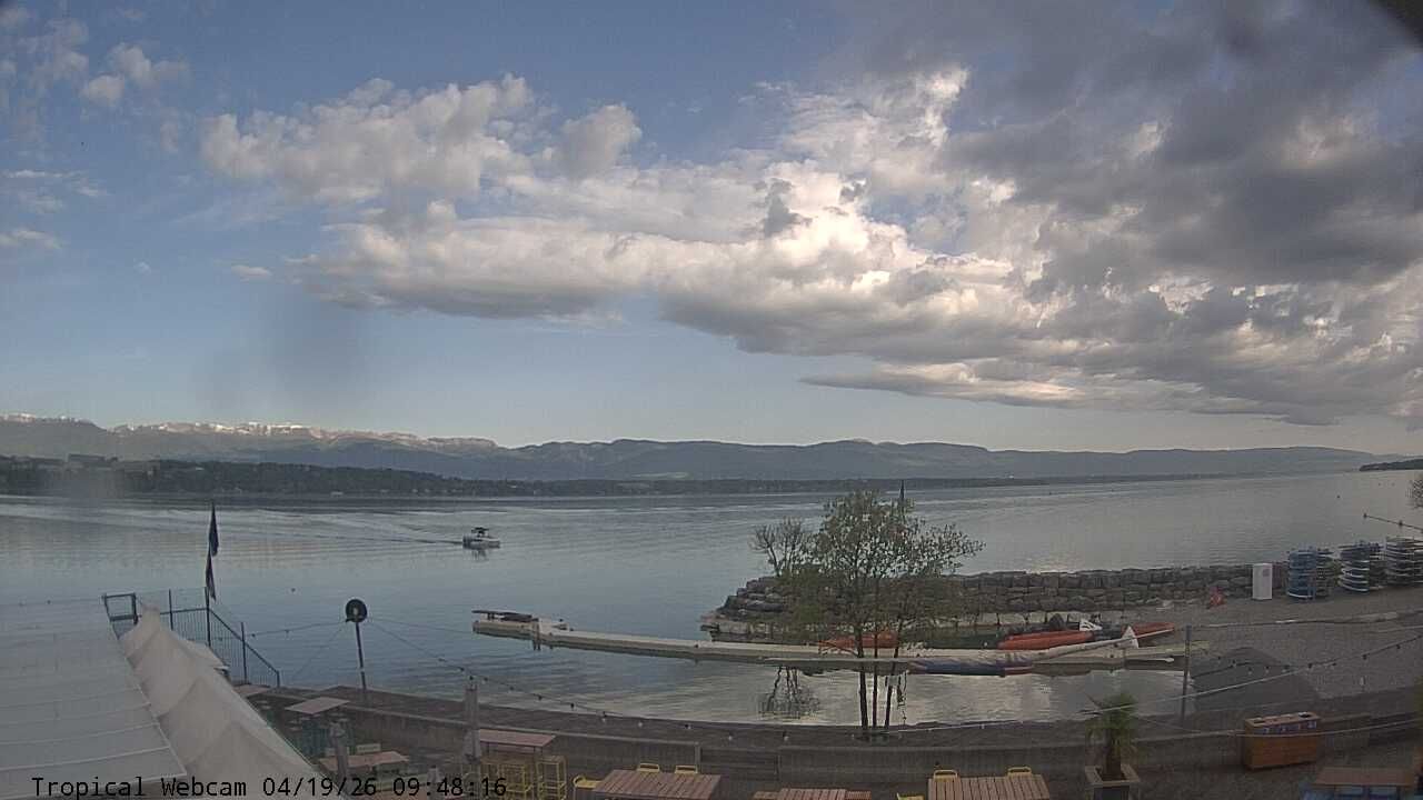 Cologny: Tropical Corner