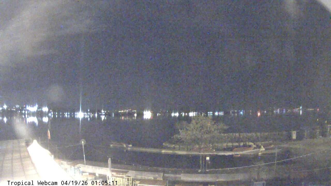 Cologny: Tropical Corner