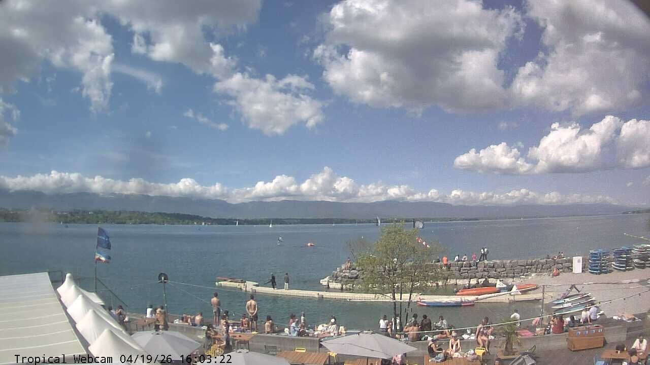 Cologny: Tropical Corner