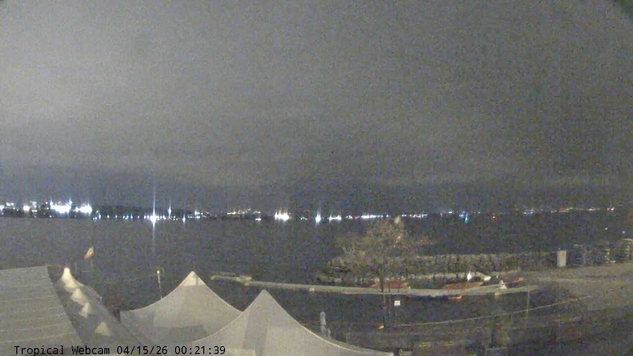 Cologny: Tropical Corner