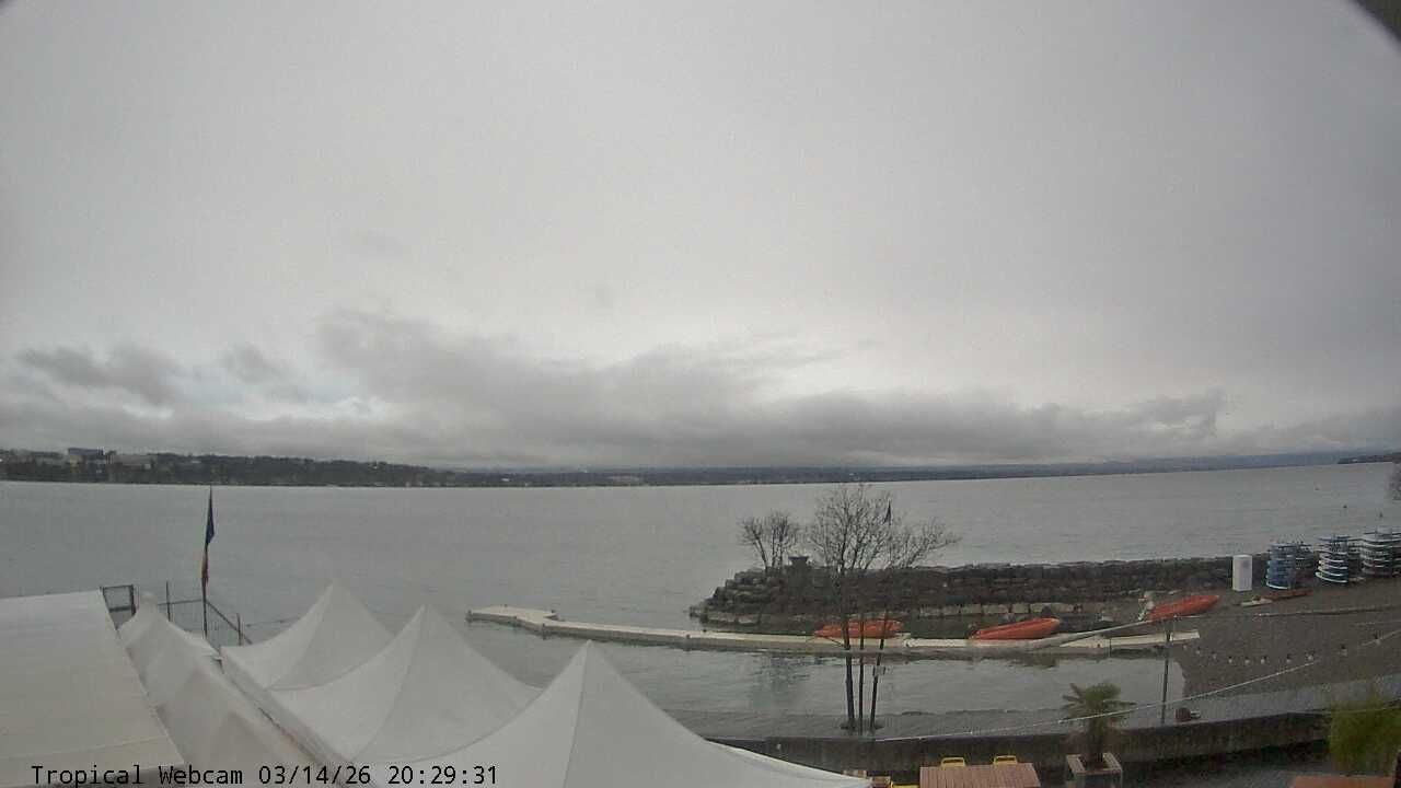 Cologny: Tropical Corner