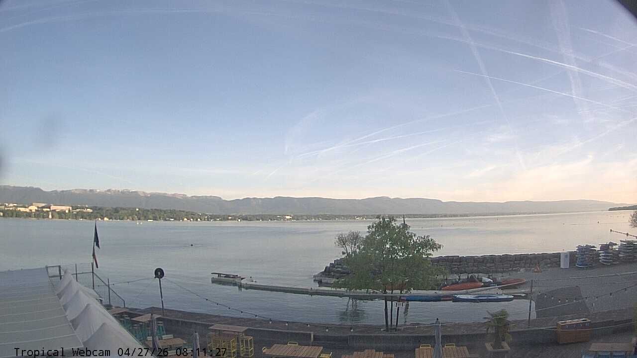 Cologny: Tropical Corner