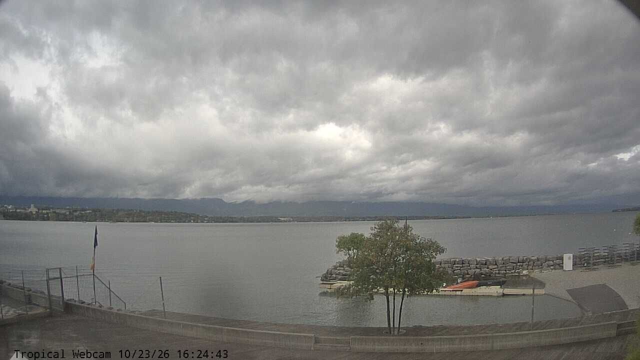 Cologny › Norden: Tropical Corner - Wake Up School Of Wakeboard - Foil - Surf