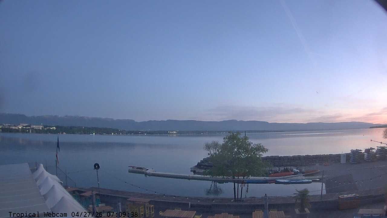 Cologny: Tropical Corner