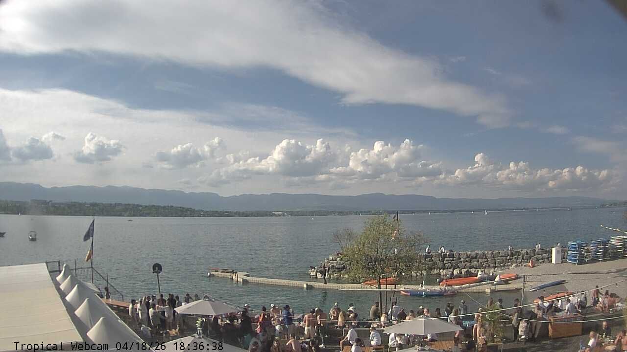 Cologny: Tropical Corner