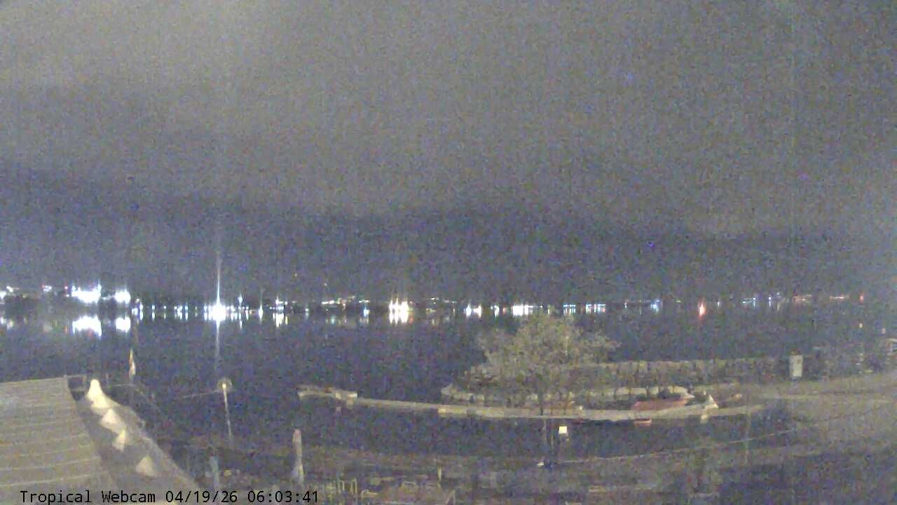 Cologny: Tropical Corner