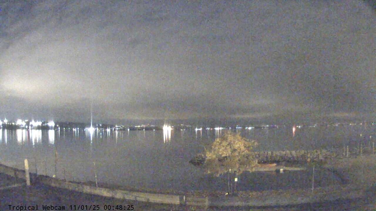 Cologny: Tropical Corner