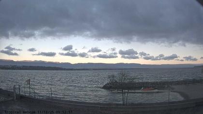 Cologny: Tropical Corner