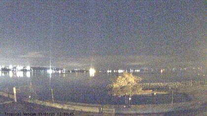 Cologny: Tropical Corner