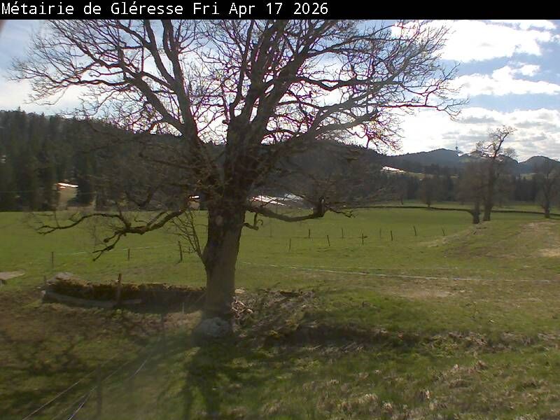 Corgémont: Métairie de Gléresse