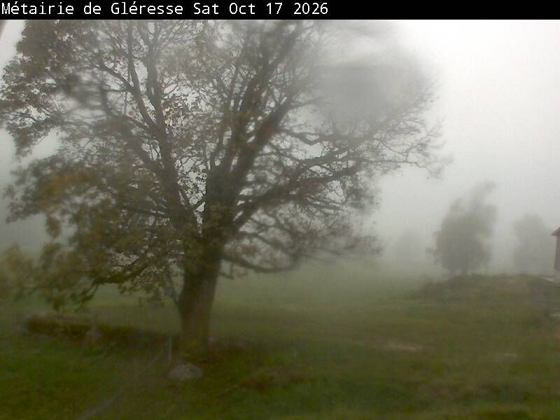 Corgémont › Südosten: Métairie de Gléresse