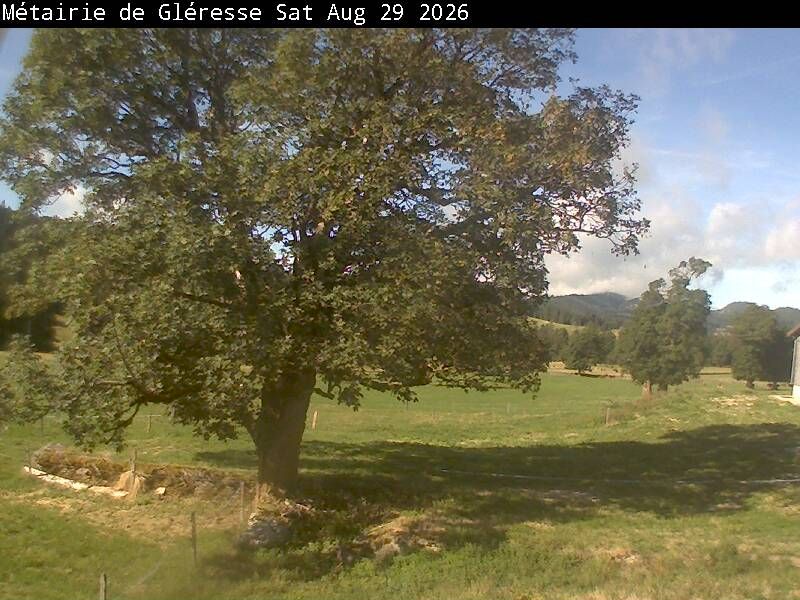 Corgémont › Südosten: Métairie de Gléresse