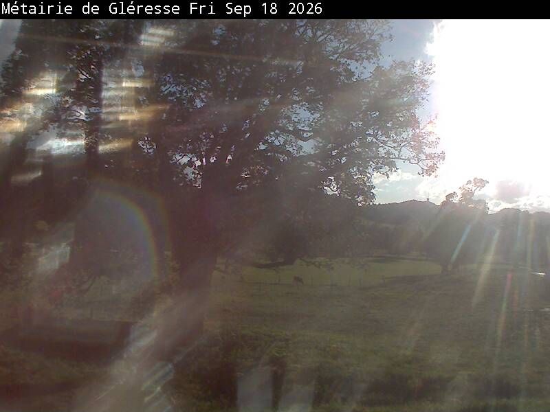 Corgémont › Südosten: Métairie de Gléresse