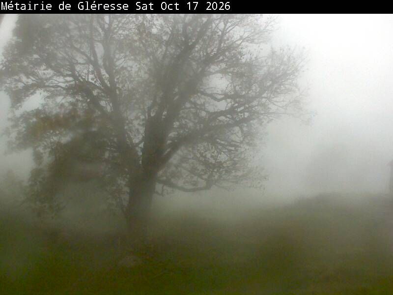 Corgémont › Südosten: Métairie de Gléresse