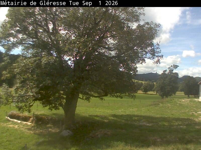 Corgémont › Südosten: Métairie de Gléresse