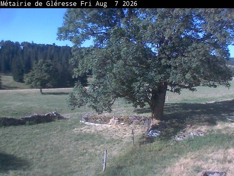 Corgémont › Südosten: Métairie de Gléresse