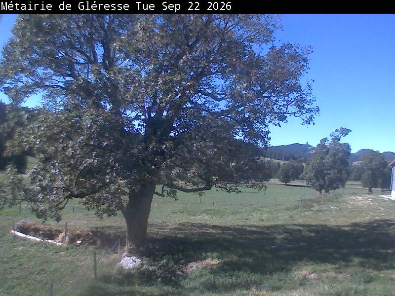Corgémont › Südosten: Métairie de Gléresse