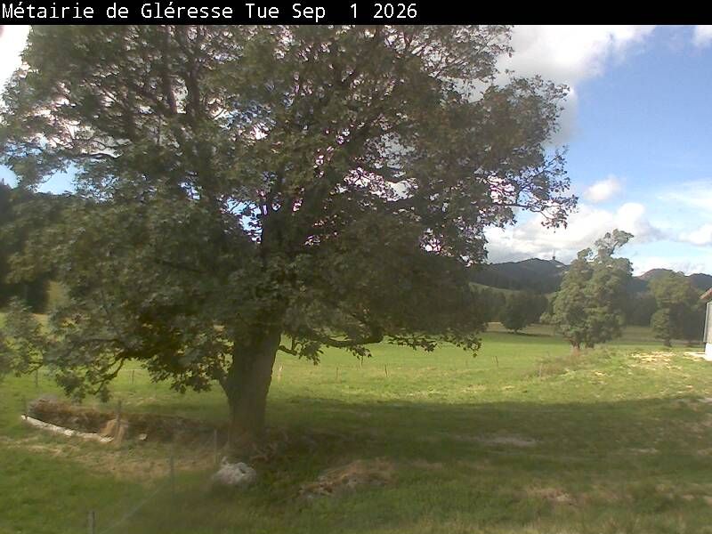Corgémont › Südosten: Métairie de Gléresse