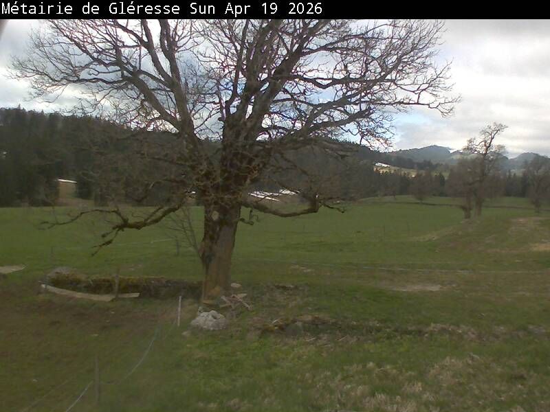 Corgémont: Métairie de Gléresse