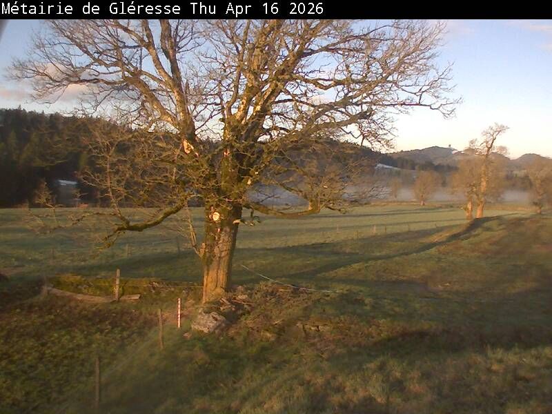 Corgémont: Métairie de Gléresse