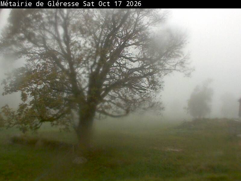 Corgémont › Südosten: Métairie de Gléresse