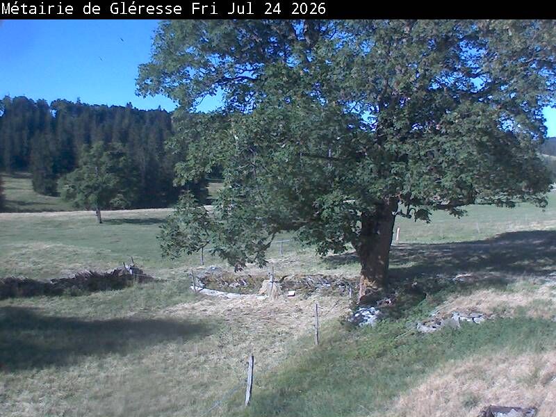 Corgémont › Südosten: Métairie de Gléresse
