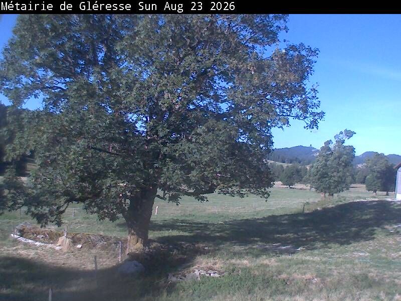 Corgémont › Südosten: Métairie de Gléresse