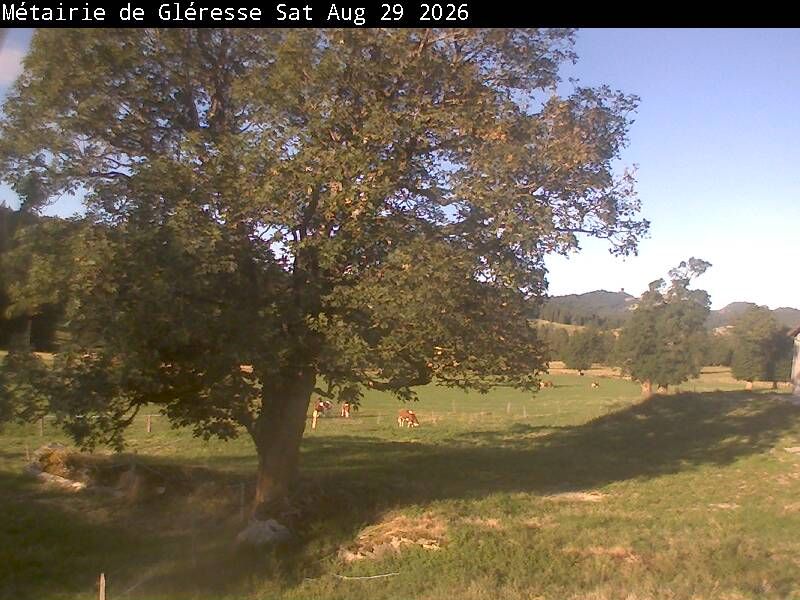 Corgémont › Südosten: Métairie de Gléresse