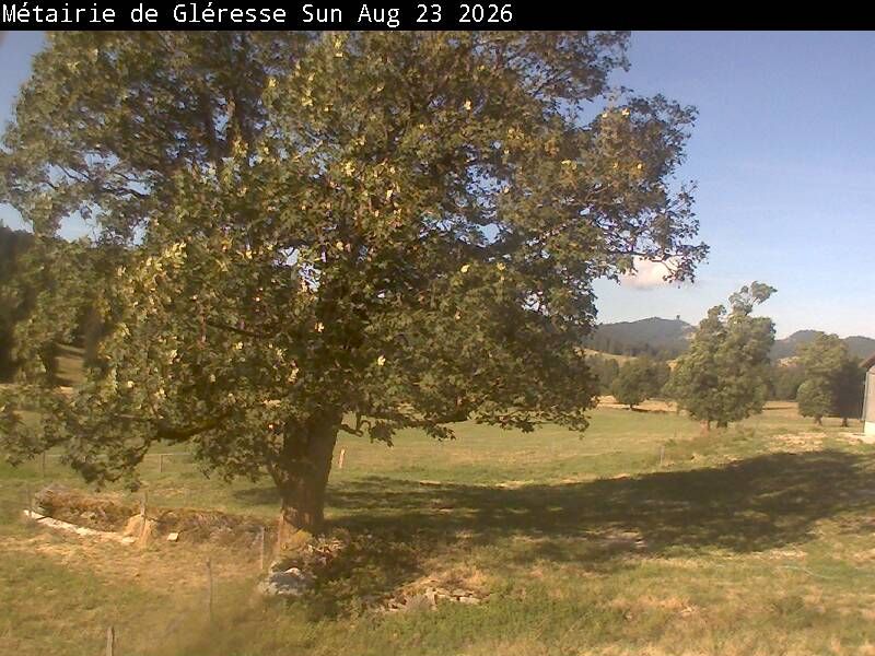 Corgémont › Südosten: Métairie de Gléresse