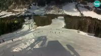 Kranjska Gora: Podkoren - Start Giant slalom