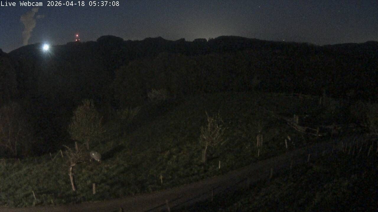 Wisen › Südwesten: Solothurn, Schweiz