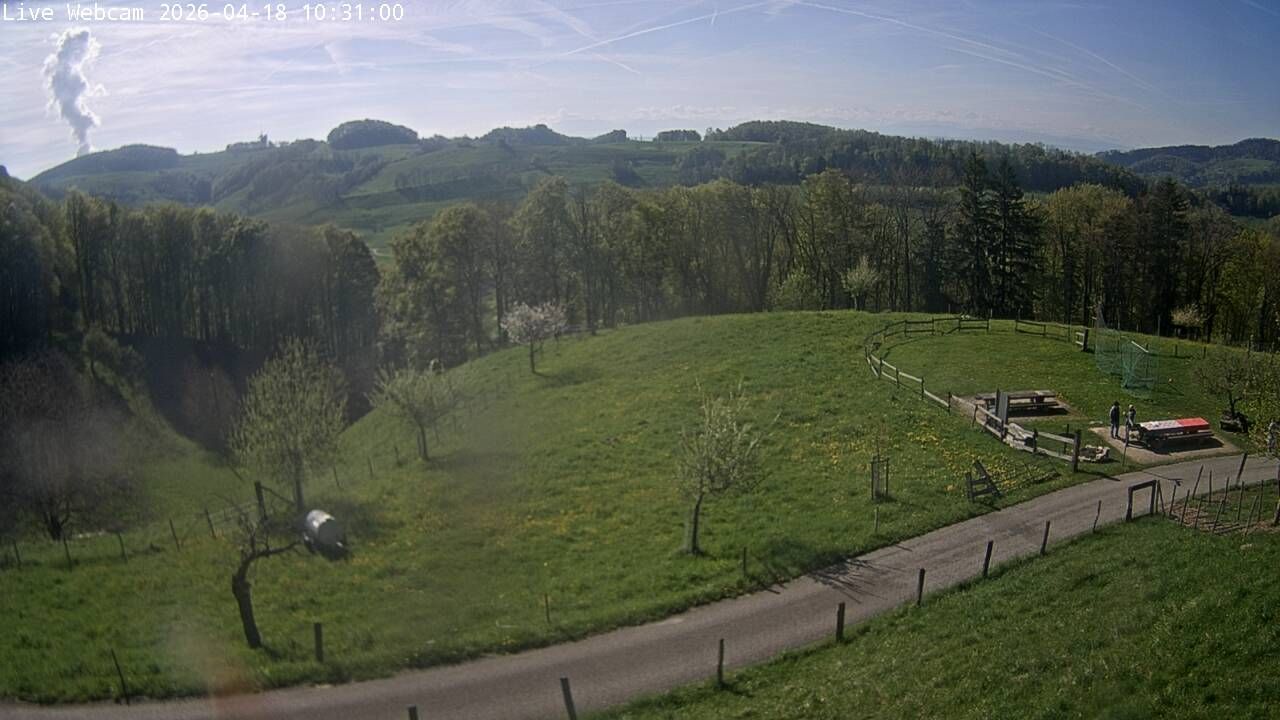 Wisen › Südwesten: Solothurn, Schweiz