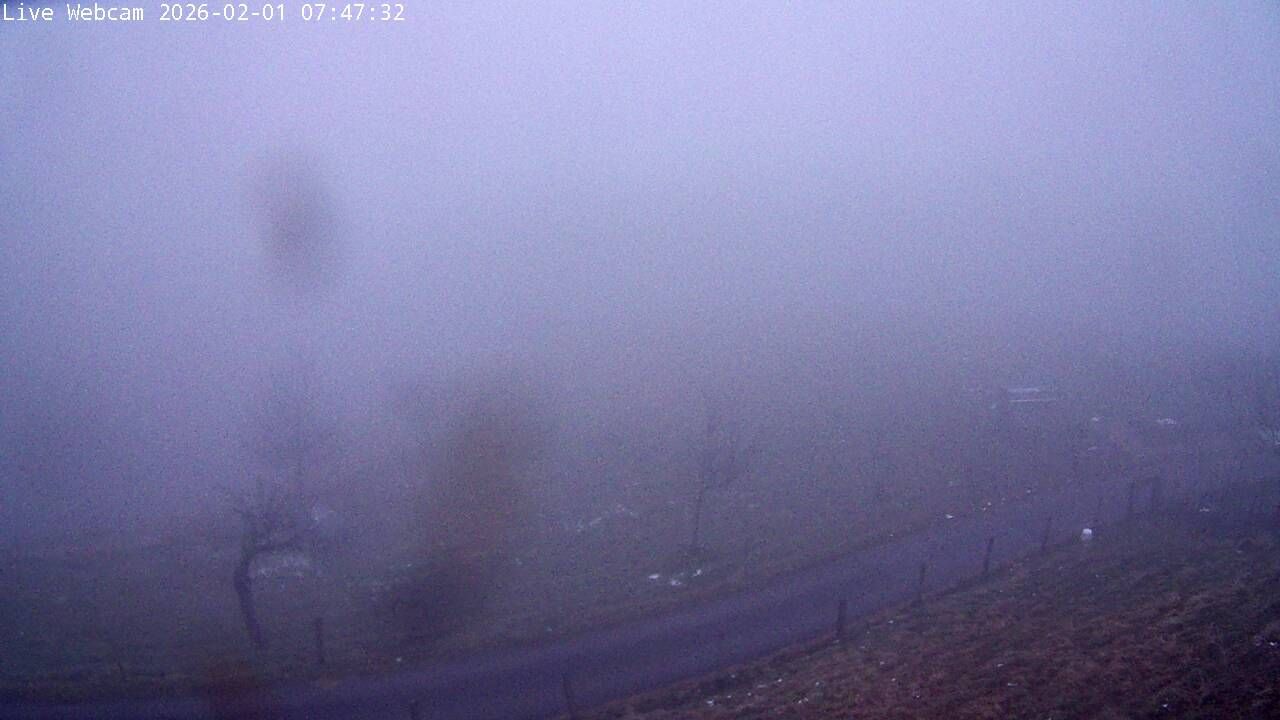 Wisen › Südwesten: Solothurn, Schweiz