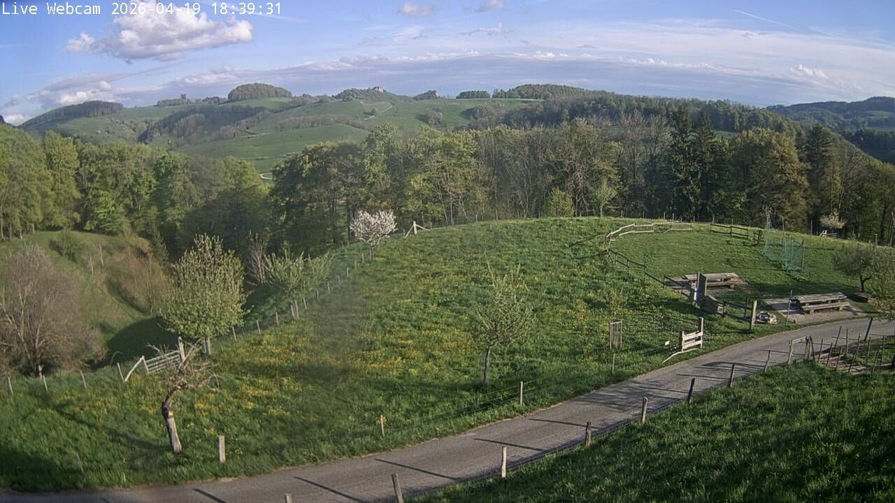 Wisen › Südwesten: Solothurn, Schweiz