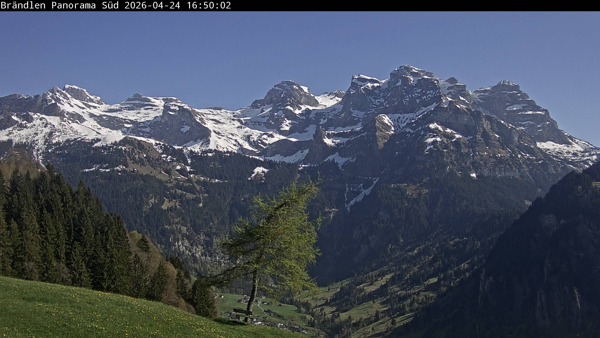 Wolfenschiessen: Walenstöcke - Rund