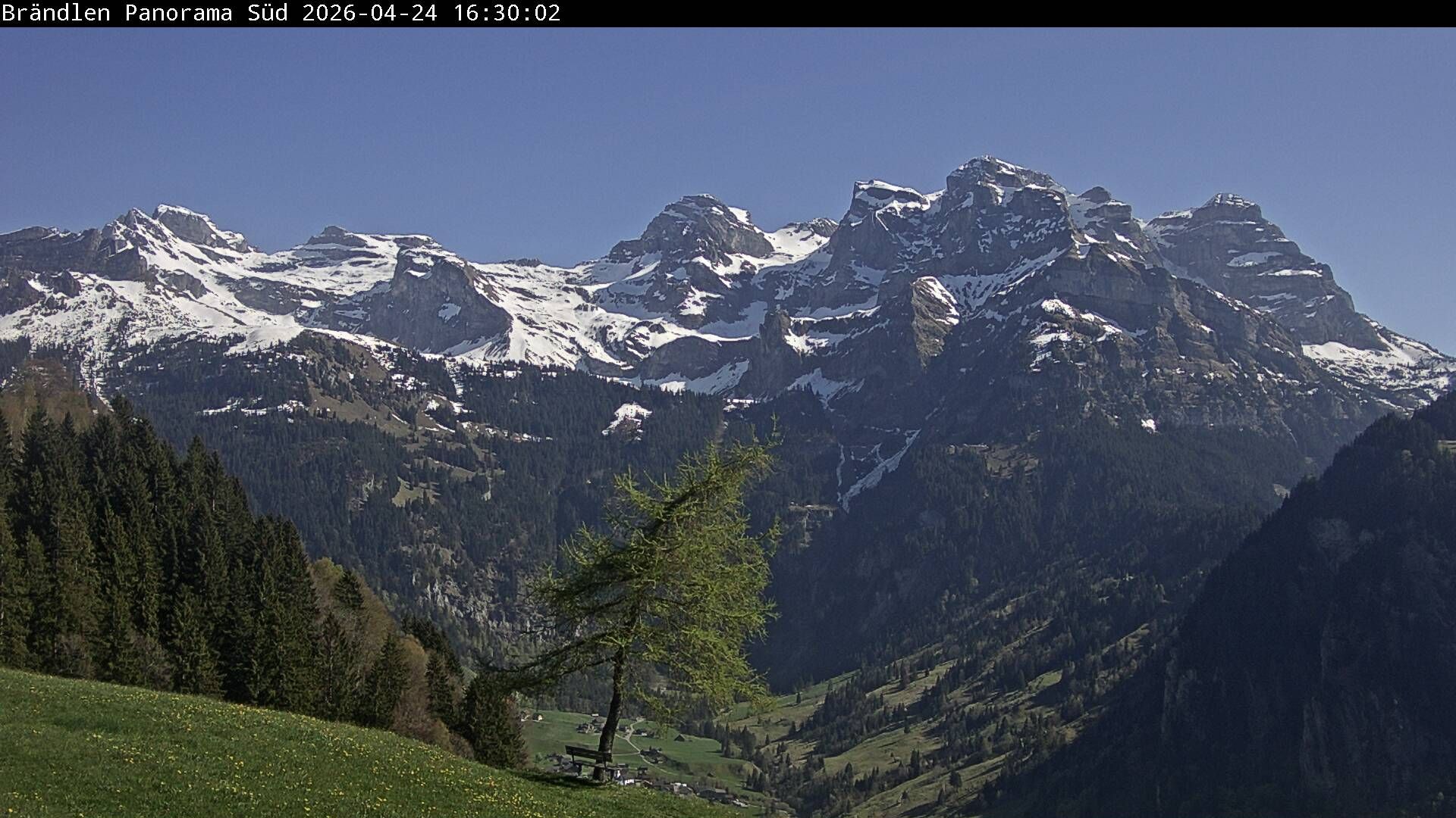 Wolfenschiessen: Walenstöcke - Rund
