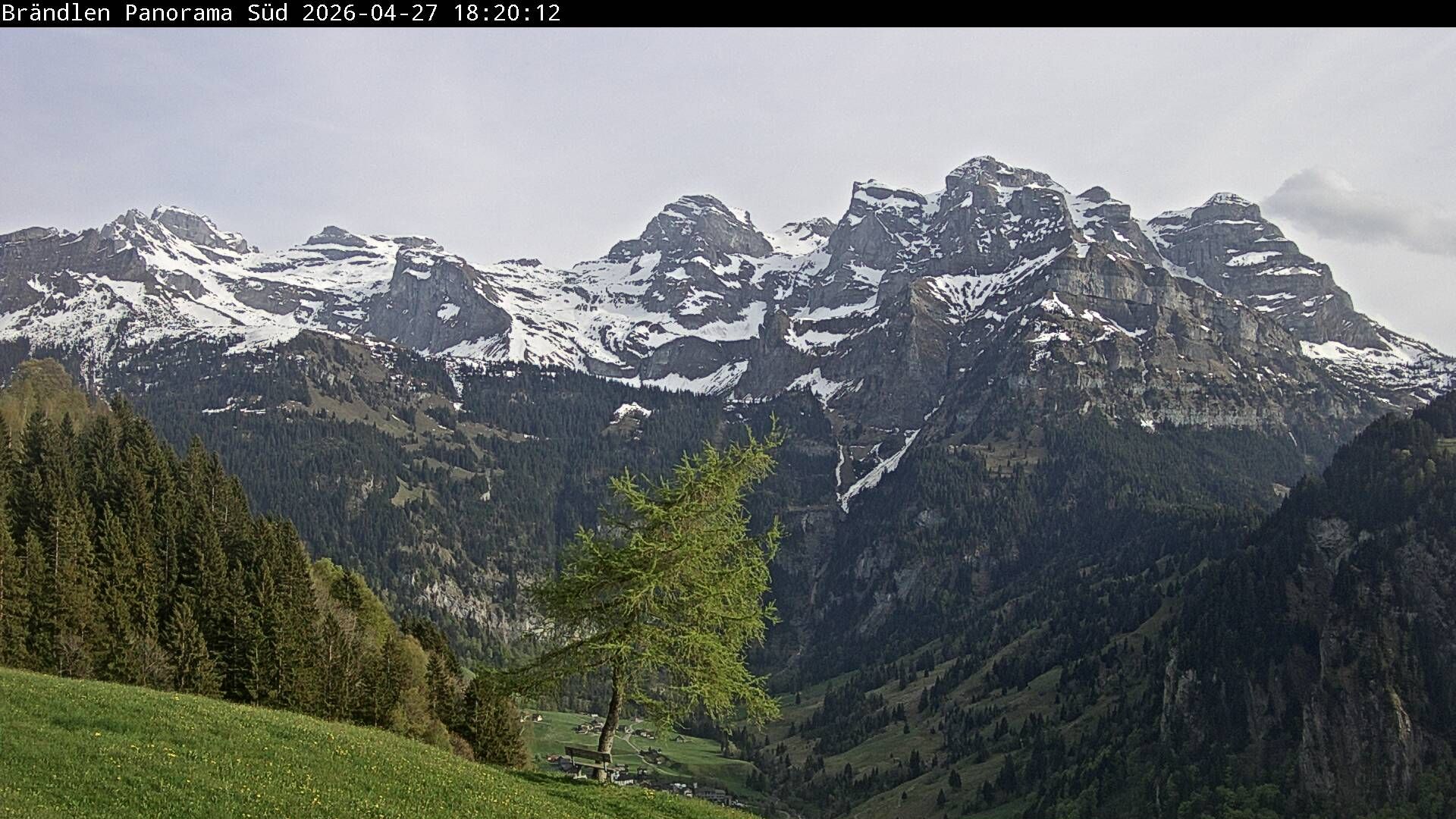 Wolfenschiessen: Walenstöcke - Rund