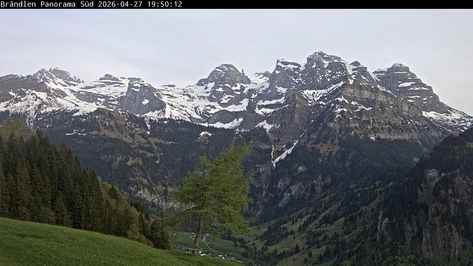 Wolfenschiessen: Walenstöcke - Rund