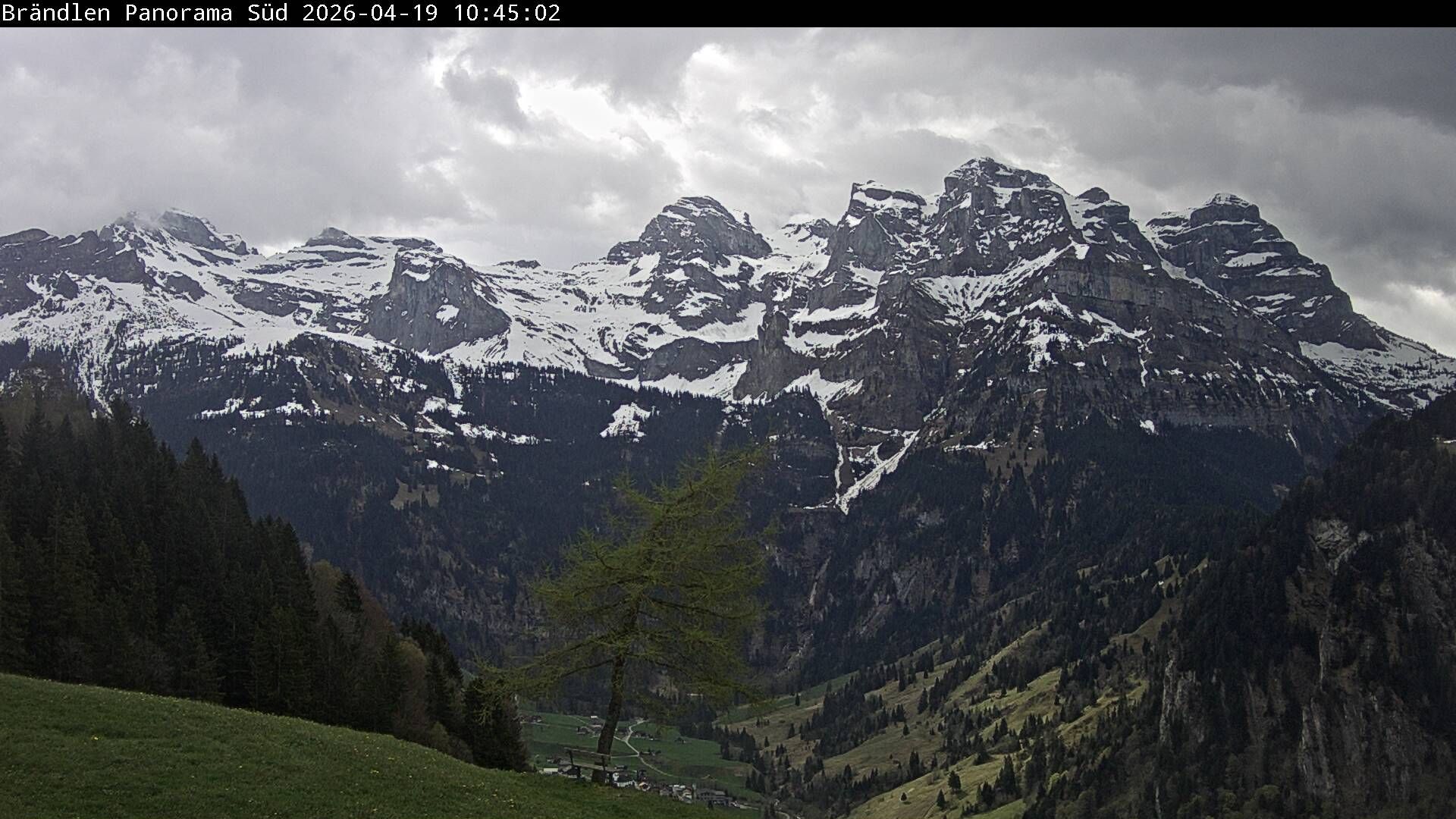 Wolfenschiessen: Walenstöcke - Rund