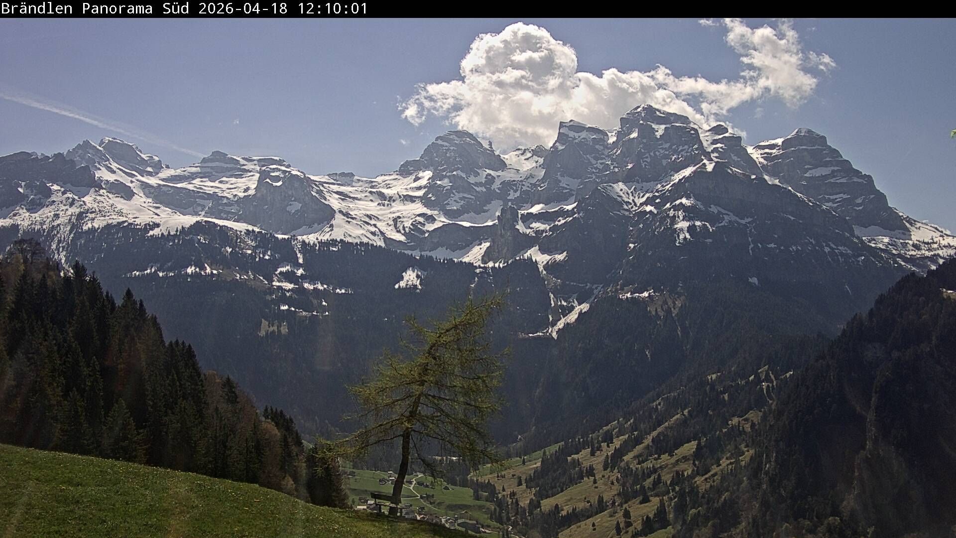 Wolfenschiessen: Walenstöcke - Rund