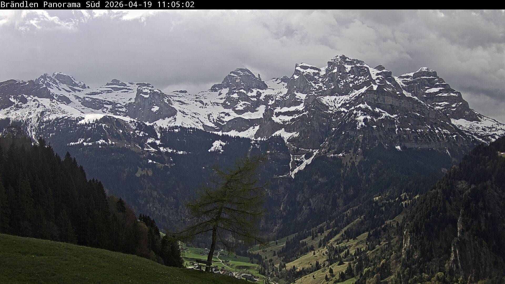Wolfenschiessen: Walenstöcke - Rund