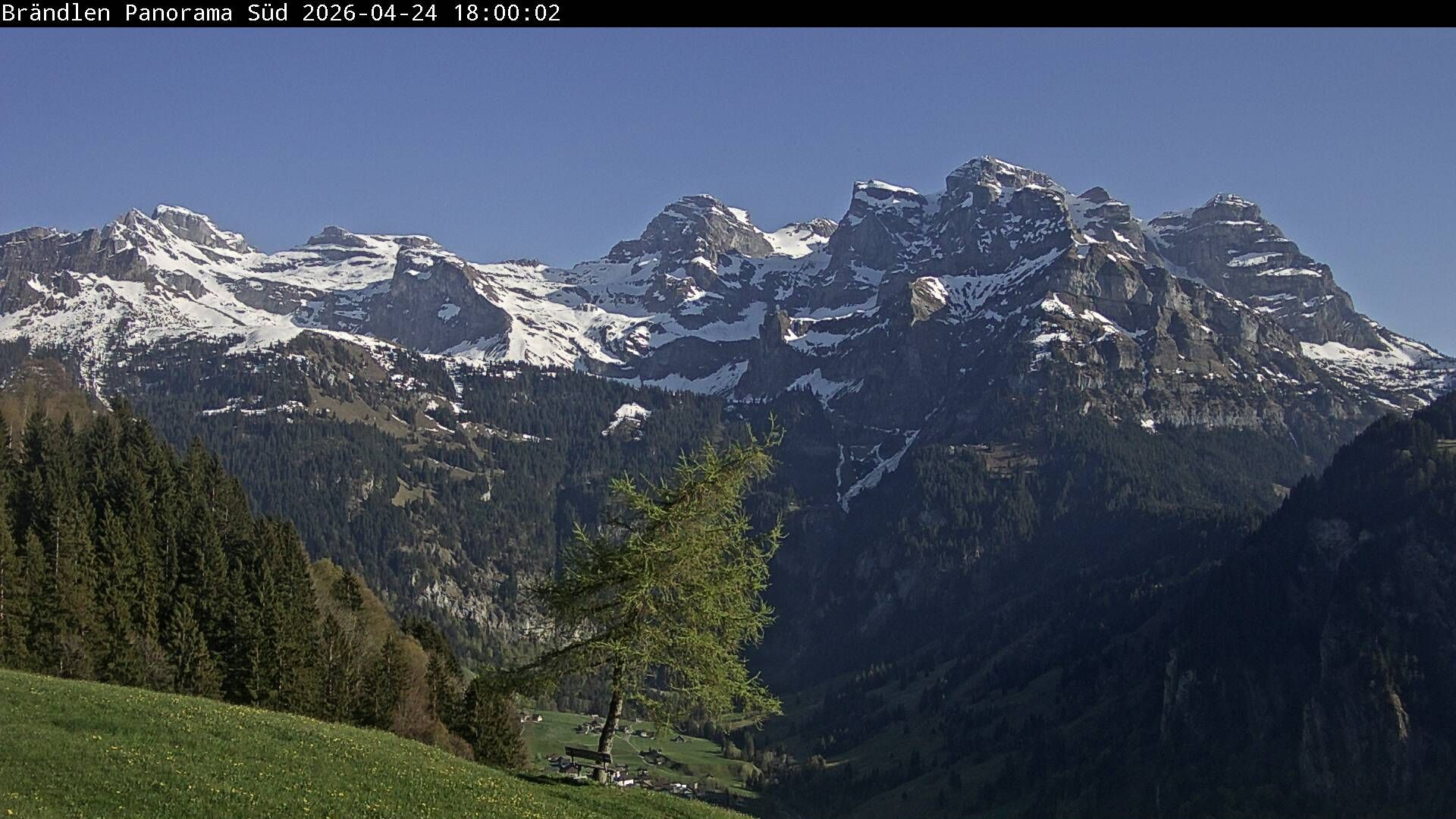 Wolfenschiessen: Walenstöcke - Rund