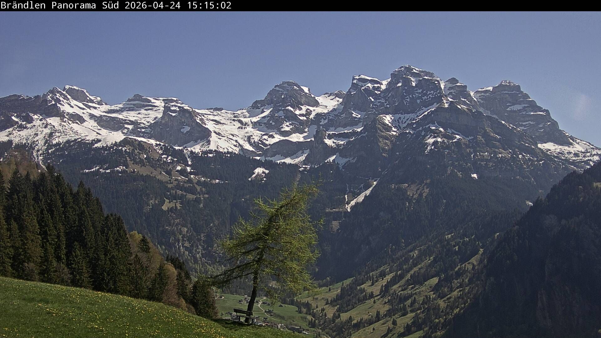 Wolfenschiessen: Walenstöcke - Rund